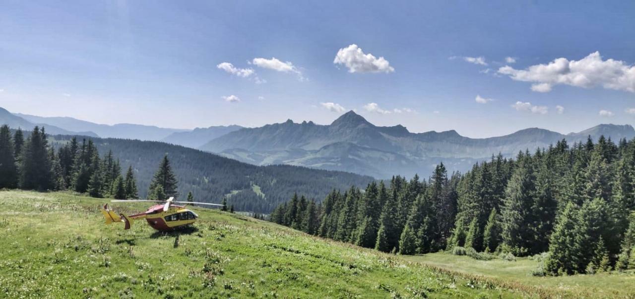 Апартаменти Chez Francine Нотр-Дам-де-Белькомб Екстер'єр фото